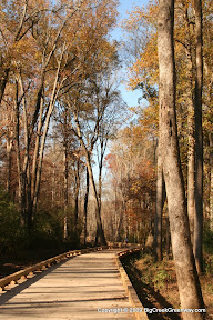 Fall colors still lined this section of the trail North of Union Hill.