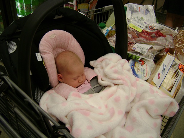 [DSC02008[5].jpg]