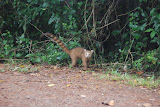 DSC_0082.JPG