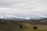 DSC_0465.JPG