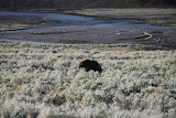 DSC_0783.JPG