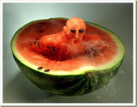 watermelon carving copy