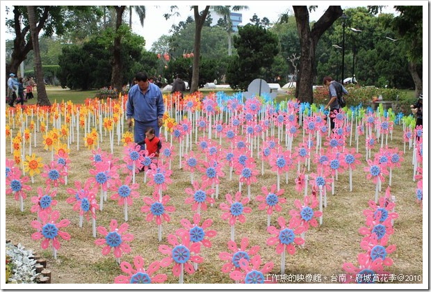 Tainan_Park_flower07