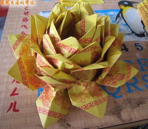 [paper_lotus192.jpg]