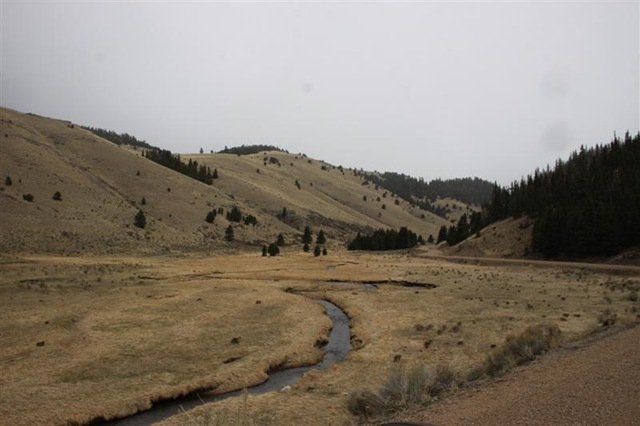 [IMG_0718 (Medium)[3].jpg]