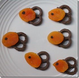 apricot pretzel fish