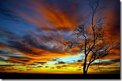 sunrise sunrise