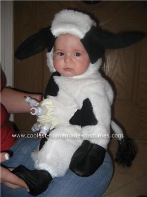[my cow[2].jpg]
