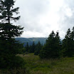P1000929.JPG