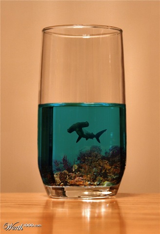 [1278138_c83f_625x10005.jpg]