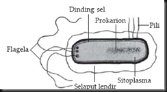 ardianrisqi.com