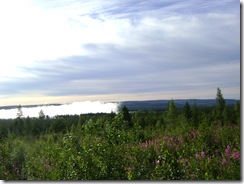DSC02736 DSC02736