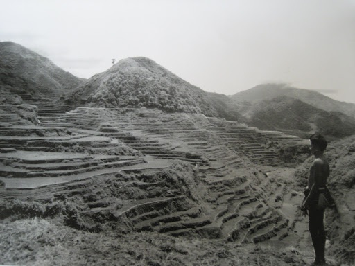 trivia tungkol sa kabihasnang indus trivia tungkol sa kabihasnang indus