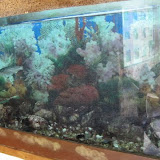 Bizerte Ocean Mesuem
