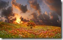 Landscape(1) 1 1440x900 9 Desktop Widescreen Wallpaper