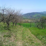 DSC00559.JPG
