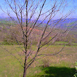IMAG0029.jpg