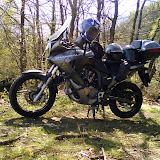 DSC00569.JPG