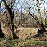 DSC_4671.JPG