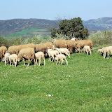 DSC_4645.JPG