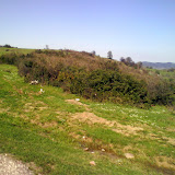 DSC00576.JPG