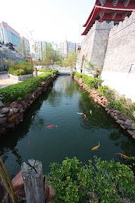  Hong Kong / Macau   Eine letzte Reise