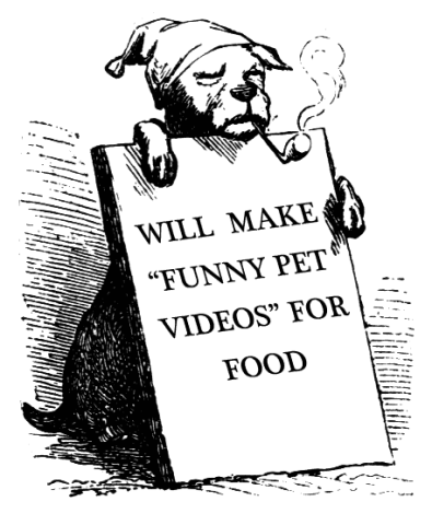 [workingdog6.gif]