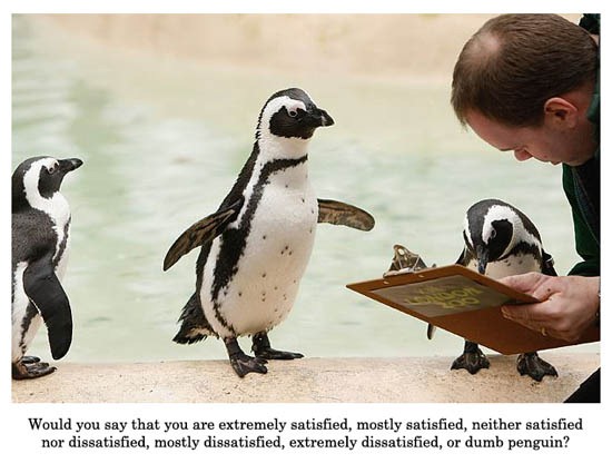 [penguinopinion[8].jpg]