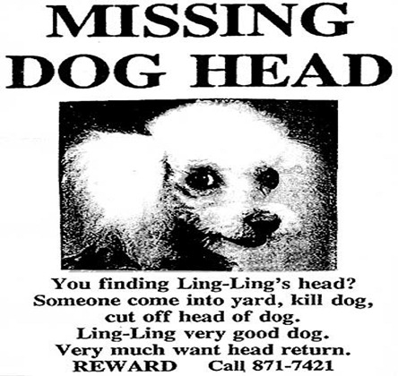 missing-dog-head