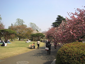 Shinjuku Gyoen National Park in April 2007