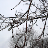 Closeup of the ice that coated everything
