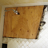 2008 - Home Improvement