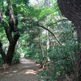 The grounds at the Tokyo Institute for Nature Study