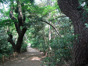 The grounds at the Tokyo Institute for Nature Study