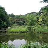 The grounds at the Tokyo Institute for Nature Study