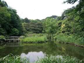 The grounds at the Tokyo Institute for Nature Study