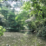 The grounds at the Tokyo Institute for Nature Study
