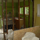 All the lathe and plaster is removed - the framing will come out next