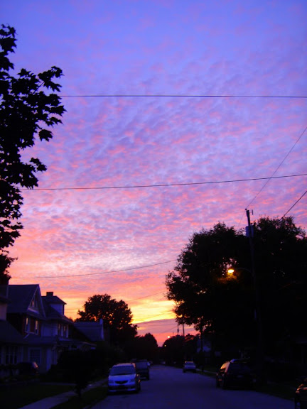 Sunrise on my street - sometimes getting up at 5AM for work isn't such a bad thing