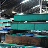 Lobster tanks at the Aquidneck Lobster Co