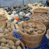 Produce at my brother John's farm