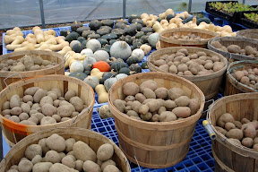 Produce at my brother John's farm