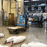 Getting ready to load the tuna that's been auctioned Getting ready to load the tuna that's been auctioned