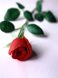 [Thinking of you[2].jpg]