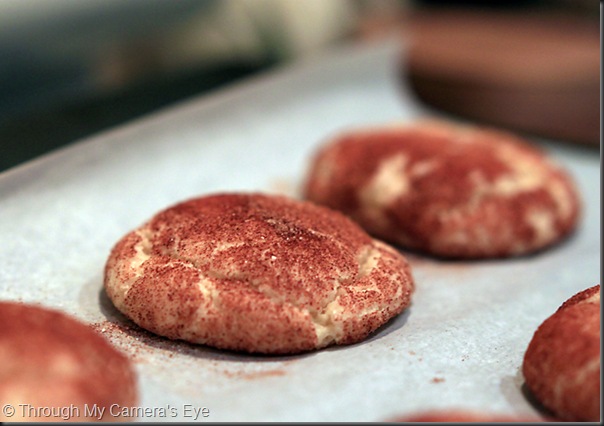 snickerdoodle-cookie