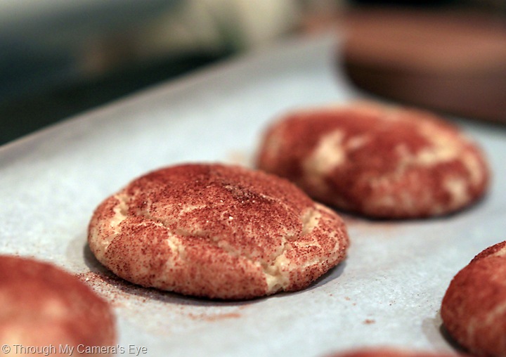 [snickerdoodle-cookie[9].jpg]