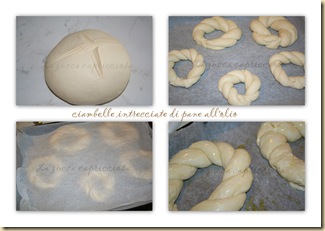 ciambelle di pane intrecciate all'olio