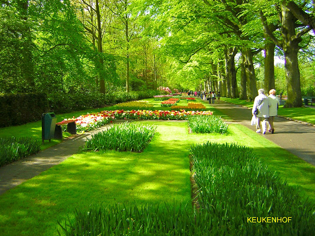 Keukenhof, uno dei giardini primaverili più estesi al mondo