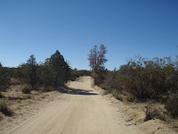 PA080015.JPG