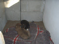 PA110046.JPG